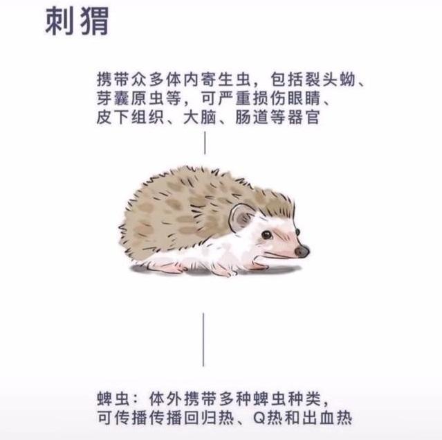 你的育儿经@理性一点，如何教育孩子正确认识小动物