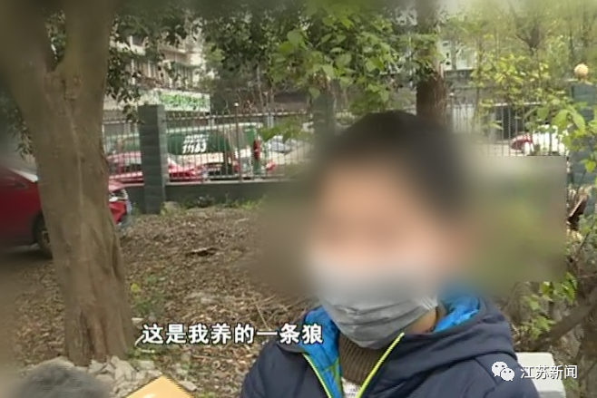 【暖先生格调】10岁孙子叫奶奶对着手机眨眨眼，5万辛苦钱就不见了！这个套路家长们要当心！