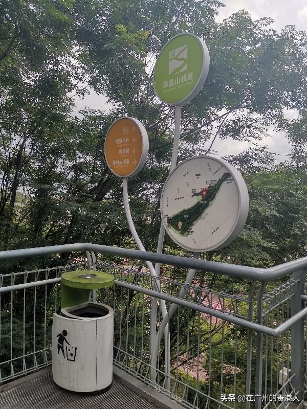 【山楂味的诗】走马观花,看顺德大良。