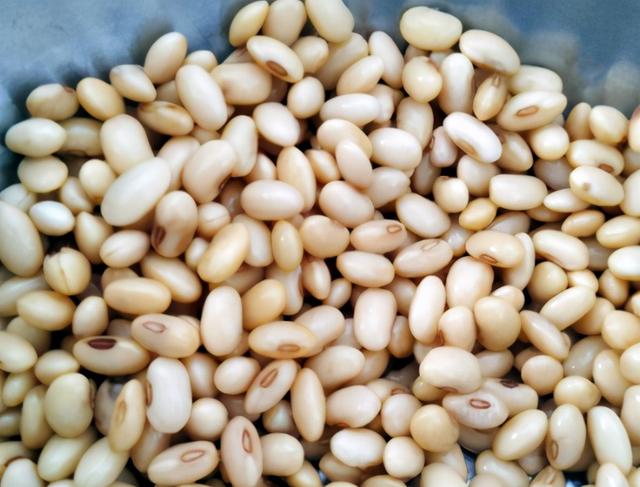 在家自制豆腐，不用内酯不用卤水，豆腐又嫩又白净，零难度零失败