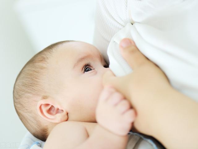 我爱我家|母乳是怎样形成的？真的是血变的吗？
