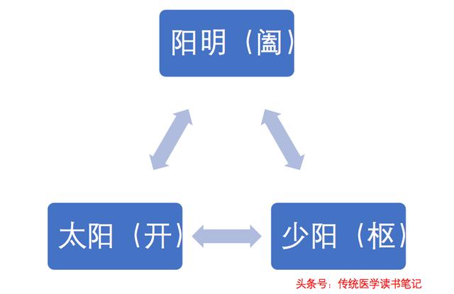 中医干货！想学经方，不会六经辨证，没法用！哪六经？三阳三阴