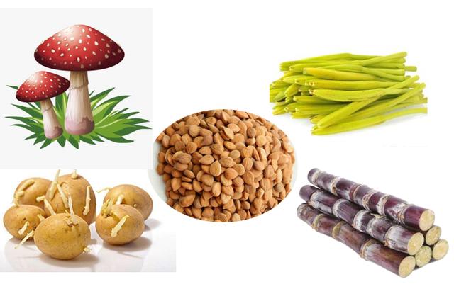 「超级宝妈」准妈妈吃错，宝宝健康隐患多