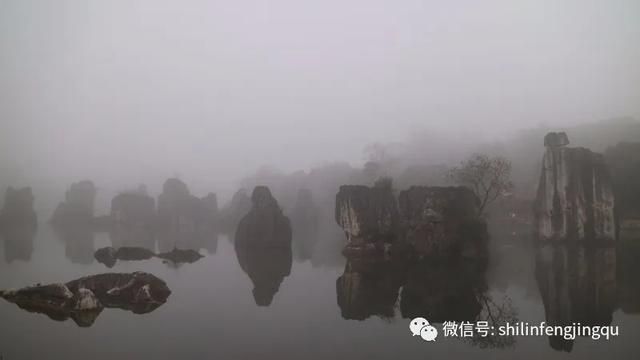 「趣旅游」【雾雪霜华】石林湖的白雾凉波