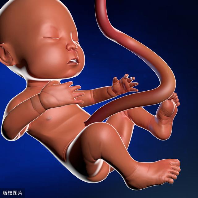 [你的育儿经]有一种“感情”叫母子连心，新生儿出生就去找妈妈，护士红了眼圈
