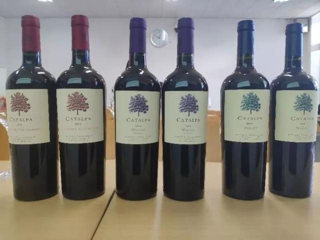 葡萄酒|北大这门课上，为何会有酒香？