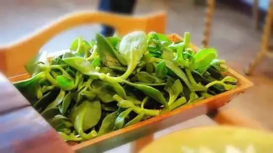 春天|冬末春初百病起，想要疾病不粘身？趁早吃点“苦”，