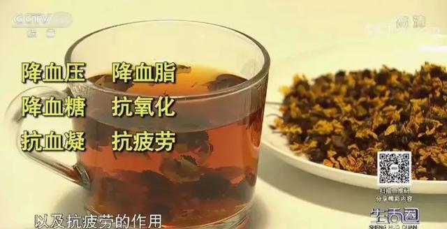 菊花|春季用“它”泡水喝，帮你清火保肝健康一整年