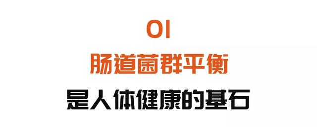 肠道受损,全身遭殃!4个常见行为,损害肠道健康,中招的人快改