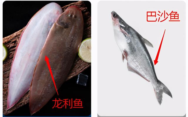 肉多刺少的“龙利鱼”，孩子吃正好，海鲜老板：从不给家人吃?