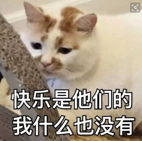 酸甜透明夹心|高颜值中韩情侣大赏！恋爱日常甜到发齁，想众筹让他们演偶像剧