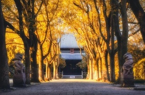 Zen Principles: Remember the Good of Others, Cultivate Your Own Virtue!