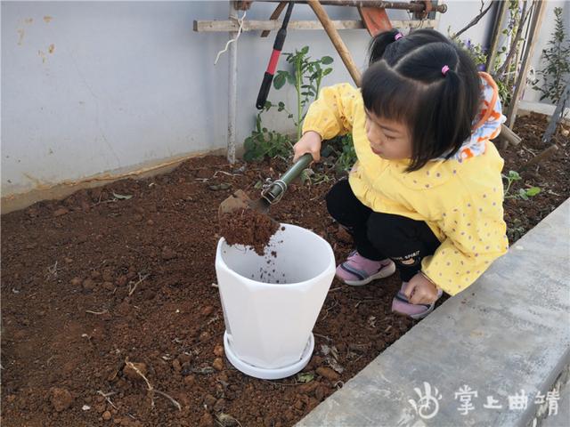 [你的育儿经]县一幼开展“线上植树活动”