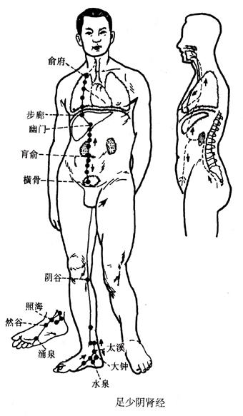 《奇病论》里都有记载哪些“奇病”？