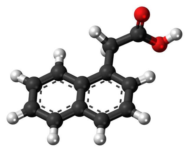 药物|性命攸关！止痛药千万别随便吃，有人竟引发急性肾衰竭……