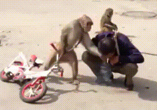 搞笑gif,好像飞出去个什么