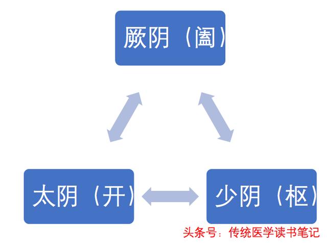 中医干货！想学经方，不会六经辨证，没法用！哪六经？三阳三阴