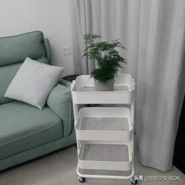 就花十多块钱，买这4个家居物品，特好用，生活幸福感蹭蹭上涨