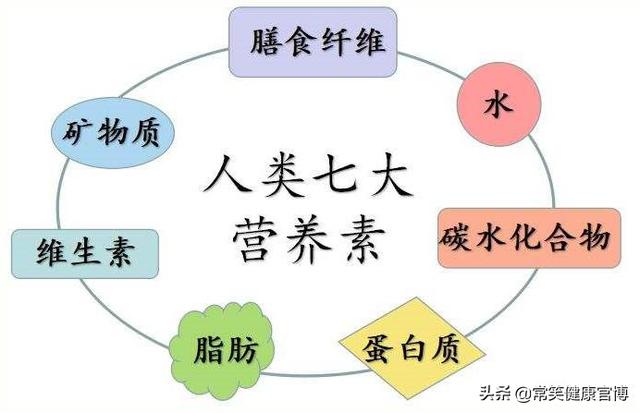 人体所需的七大营养素，最后一个你可能想不到