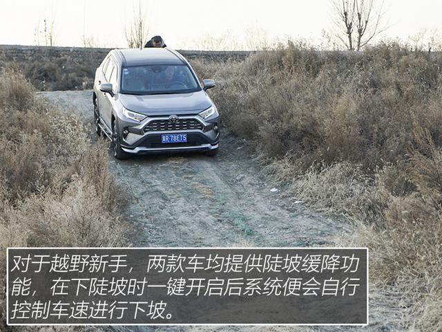 谁才是20万级别全路况SUV？RAV4荣放对比奇骏