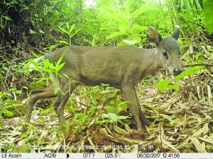 「趣旅游」“桫保区”穿行记之三：丹霞绝壁有民居 五柱峰上觅熊踪