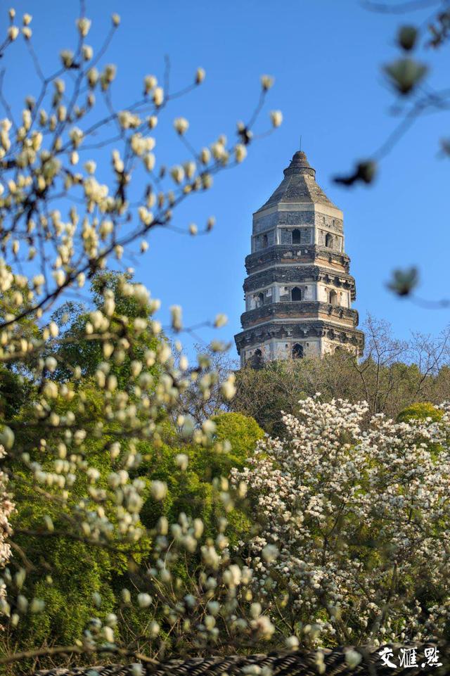 「全国党媒信息公共平台」5G+VR+4K!交汇点带您云赏江苏