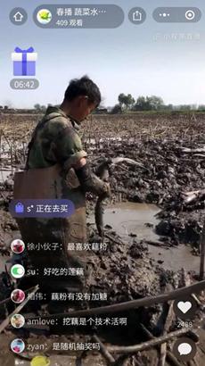 「环球网」电商平台春播将“直播间”搬进洪湖莲藕产地 按下湖北农产品“去库存”快捷键