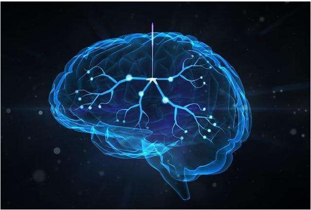 斯坦福大学研究发现：促进孩子的大脑发育，父母坚持这5种方法