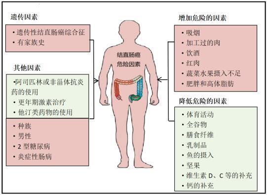 癌症|19岁青年患上晚期结肠癌 专家提醒：健康食物与生活方式不可少