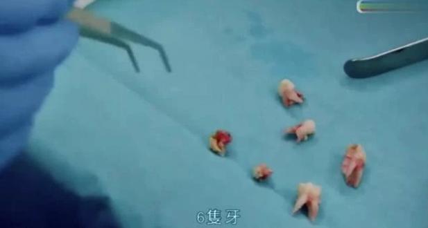 你的育儿经：孙俪教孩子刷牙获高赞，优秀的父母，从来不和孩子“讲道理”