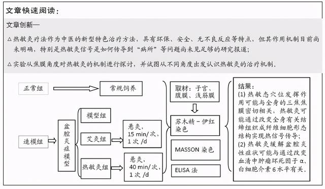 热敏灸对盆腔炎症模型大鼠影响的三焦焦膜理论分析