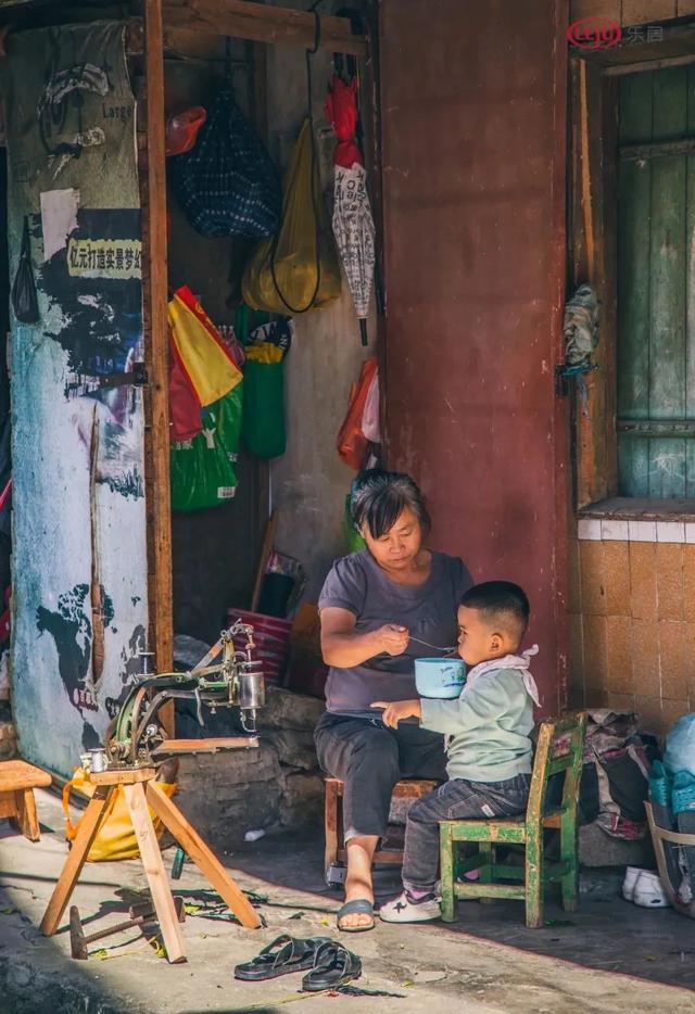 残忍的“代母实验”，揭露了最真实的母子关系