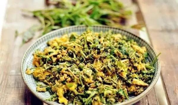 扇贝|威海春日山海滋味，等你来品