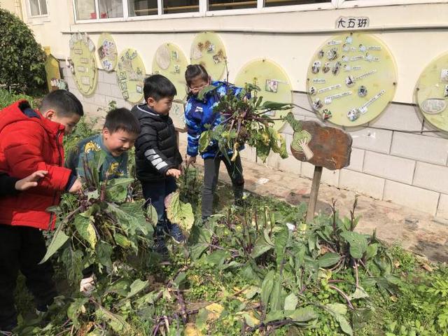 如何拥抱春天？这群幼儿园的娃娃学会了播种绿色