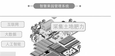 环球网@AI接管果园，他们成了“甩手掌柜”