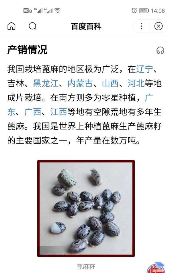 [超级宝妈]警惕这种毒果！已有儿童“中招”，严重可致人死亡，现正值成熟期