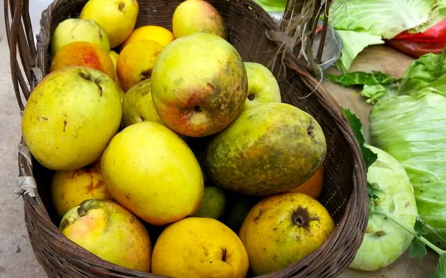 云南这木瓜，6块钱一斤，遇见多买几个，能生吃能做菜，酸甜爽脆