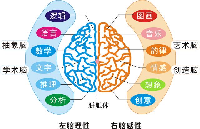 「超级宝妈」孩子是左撇子,往往在这几个方面很有天赋,父母不妨重点栽培一下