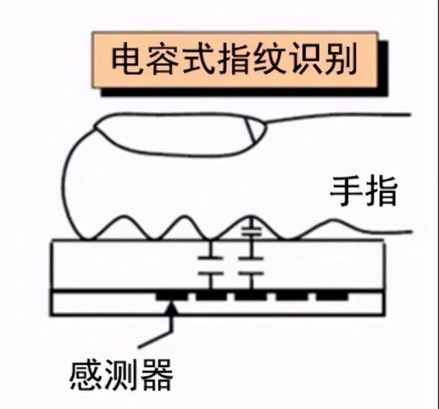 人去世后，指纹还能解锁手机吗？