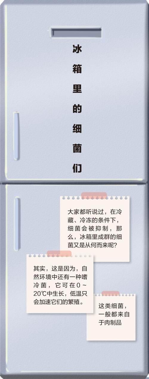 没想到家里细菌最多的地方竟然是这里？每平方厘米有上千万个致病菌