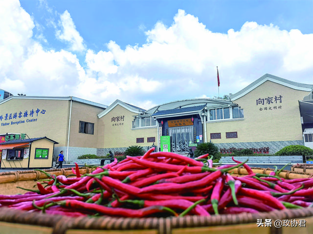 2019年5月份,向家村旅游景区正式对外营业时,向坤承包了向家村儿童