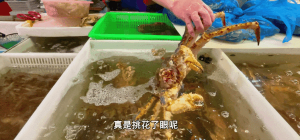 价格|宁波人的心头好终于上市了！今年的价格……