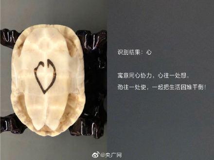 识别|AI竟然可以识别甲骨文
