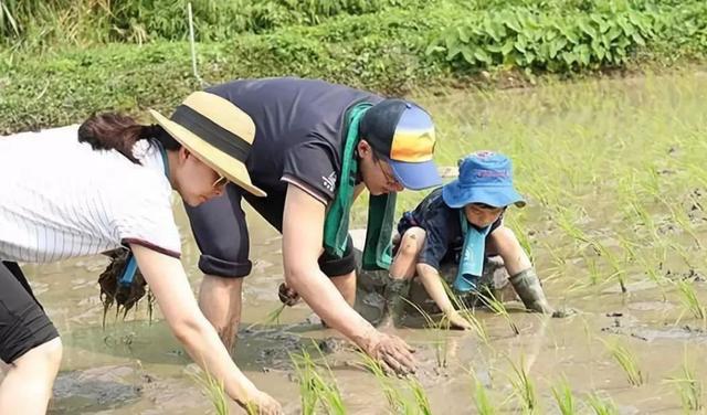 「超级宝妈」娃刚睡着就被“移走”，接下来父母的动作逗笑众人：孩子是意外