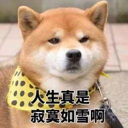 光明网：家长们，请不要让孩子在家玩打火机