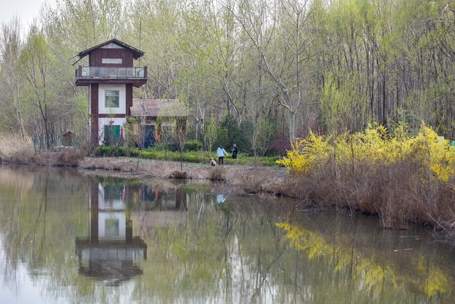 孝义市孝河国家湿地公园踏青赏景