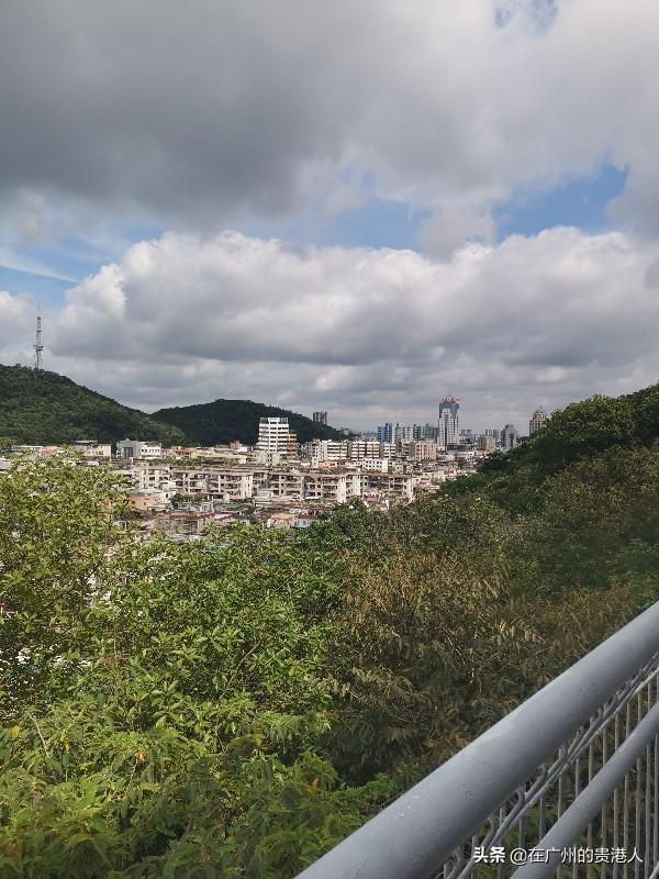 【山楂味的诗】走马观花,看顺德大良。