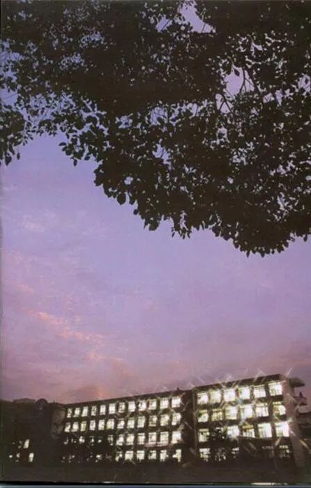 【暖先生格调】延迟开学:致全体武汉中小学生的一封信!
