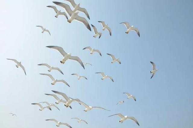 「世界那么大」待春光和煦,共赴一场蓬莱之约 | 这就是山东