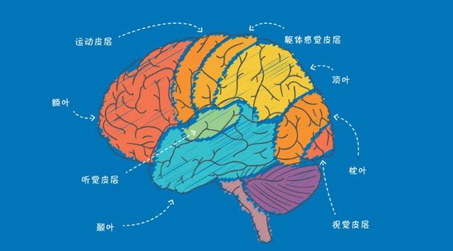 超级宝妈|园长说｜童林伯伯：影响幼儿智力发展的八大要素